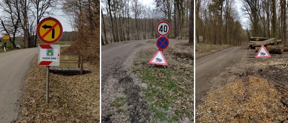 Tudi na območju Bukovniškega jezera pristopili k ureditvi in zagotavljanju varnejše selitve dvoživk
