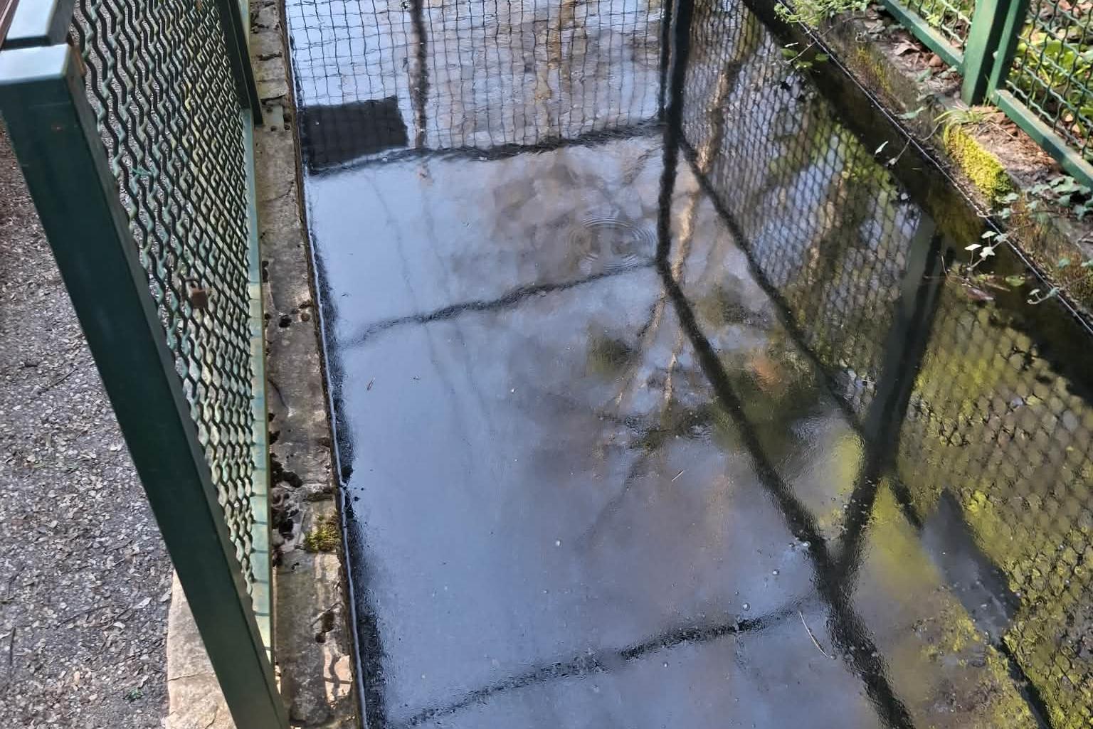 FOTO: Pince: Izpiranje posod z naftnimi derivati na izviru povzročilo okoljsko škodo