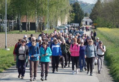 FOTO: Tudi letos so šli po Murski šumi!