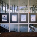 Murska Sobota: Večina sodelujočih v anketi podpira zaprtje dela Slovenske ulice za motorni promet FOTO: Lendavska fotografinja v Mariboru navdušila z razstavo o svetu ekstremnih športov