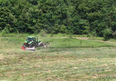 Košnja travnikov kot pomemben korak k obnovi vrstno pestrih habitatov na Goričkem