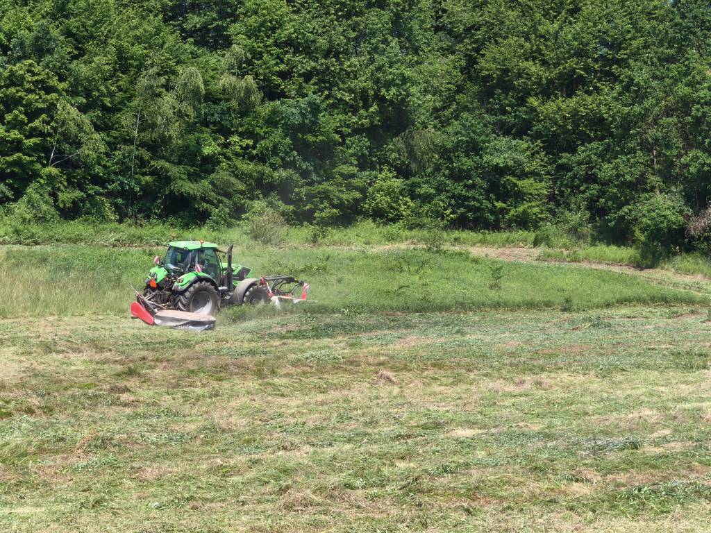 Košnja travnikov kot pomemben korak k obnovi vrstno pestrih habitatov na Goričkem