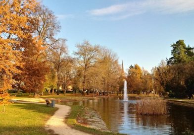 Soboški mestni park čaka velika prenova: Dela se bodo začela septembra