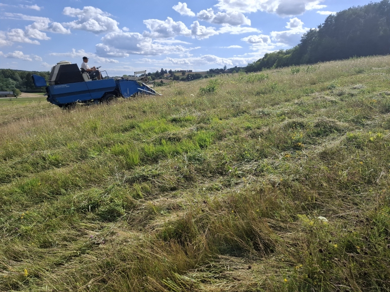 Projekt LIFE FOR SEEDS: S posebnim kombajnom na Goričkem zbirali semena travniških rastlin