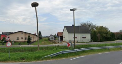 Zanimivo: Občina Dobrovnik želi zamenjati zemljišče z drogom, na katerem gnezdi bela štorklja