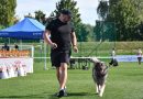 FOTO: CACIB: Izbor za najlepšega psa Pomurja: Naslov romal v Dobrovnik