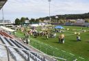 VIDEO, FOTO: Lendavski športni park zavzeli psi