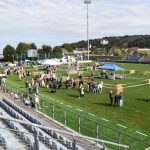 VIDEO, FOTO: Lendavski športni park zavzeli psi
