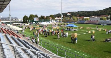 VIDEO, FOTO: Lendavski športni park zavzeli psi VIDEO, FOTO: Lendavski športni park zavzeli psi