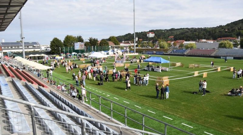 VIDEO, FOTO: Lendavski športni park zavzeli psi