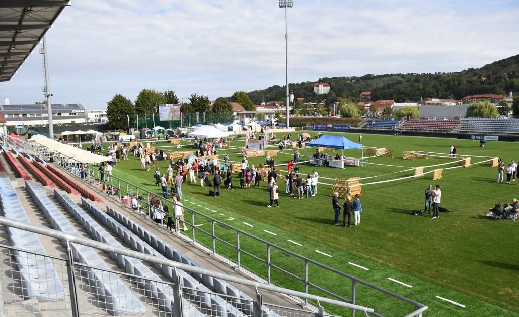 VIDEO, FOTO: Lendavski športni park zavzeli psi