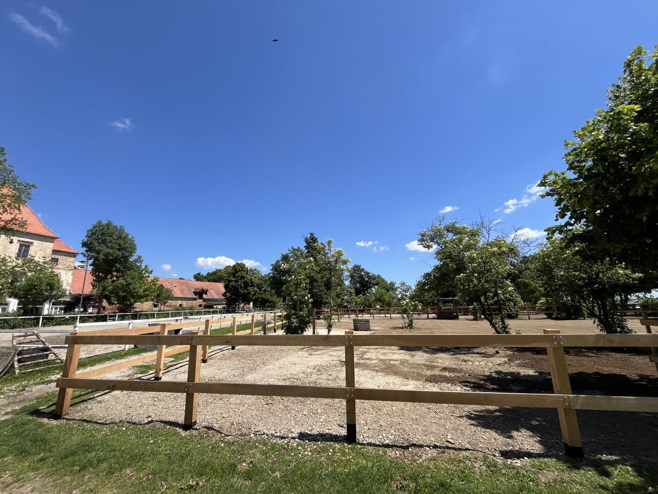 V Dvorcu Rakičan letos izvedli več pomembnih investicij