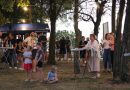 FOTO: Vina pod krošnjami pri razglednem stolpu Vinarium