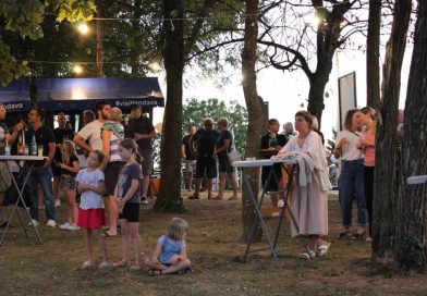FOTO: Vina pod krošnjami pri razglednem stolpu Vinarium