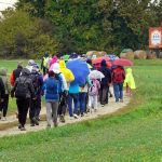 FOTO: V Lendavi so šestič pripravili Medeni dan in pohod med čebelarji