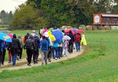 FOTO: V Lendavi so šestič pripravili Medeni dan in pohod med čebelarji
