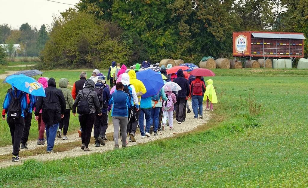 FOTO: V Lendavi so šestič pripravili Medeni dan in pohod med čebelarji