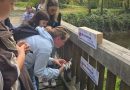 Slovenska pobuda označevanja visokih voda povezuje skupnosti na obeh straneh Mure